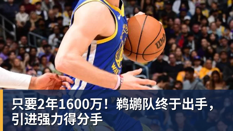 篮球下注只要2年1600万！鹈鹕队终于出手，引进强力得分手