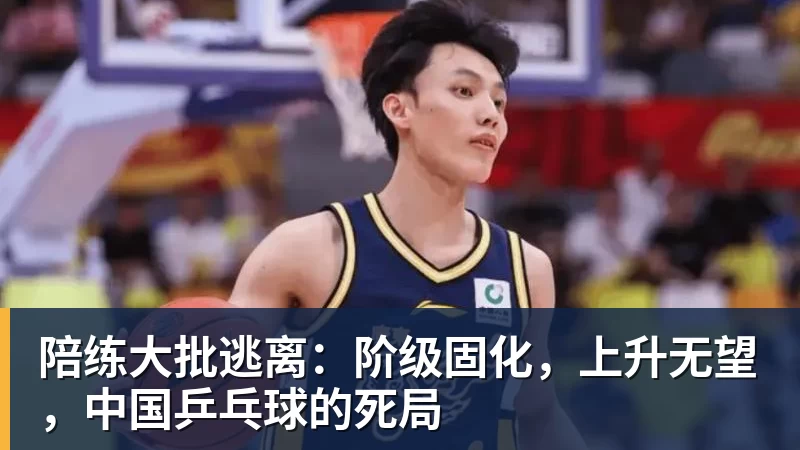 陪练大批逃离：阶级固化，上升无望，中国乒乓球的死局